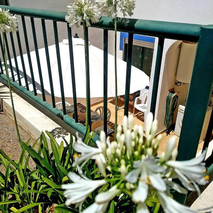 Apartamento Encantador A 100M Da Praia Carvoeiro  Dış mekan fotoğraf